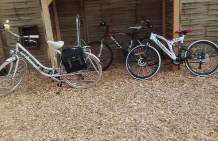 Ferienwohnungen Paul und Dorothea - Foto 119