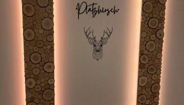 Platzhirsch-bei-der-Purpurbuche - Foto 4