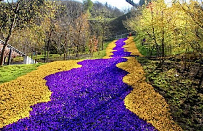 Lovely apt With Garden in South Tyrol - Foto 23