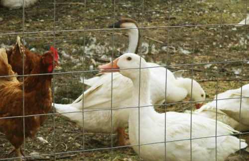 Agriturismo Petrilli - Foto 81