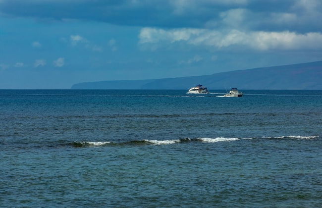 Lauloa 407 2 Bedroom Condo - Foto 32