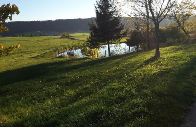 Ferienwohnung in Schiltach - Foto 33