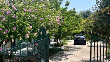 Anthia Apartment - Foto 2