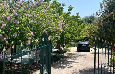 Anthia Apartment - Foto 2