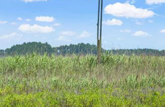 Hosta Cottage - Beautiful, Waterfront, Luxury - Foto 39