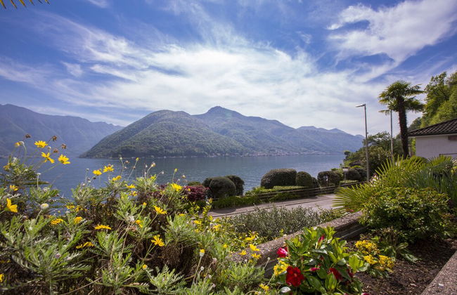 Camelia Lake View - Foto 23