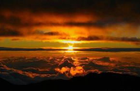 Whaler 712 - Photo 51