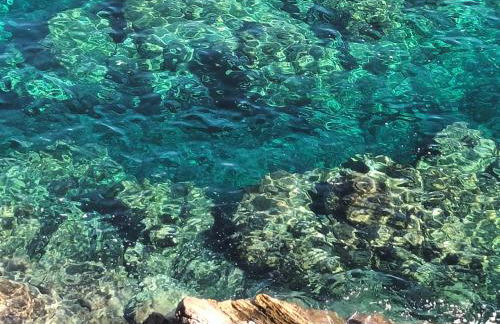 Terrazza sul Mare holidays with experiences - Foto 8