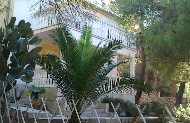 Eli - for Nature Lovers - A2 - Foto 15