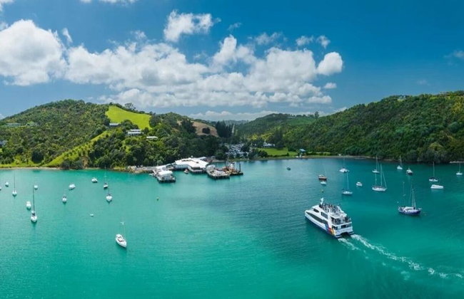 Waiheke Walk-up Ferry Service to Waiheke Island from Auckland (Return) - Foto 6
