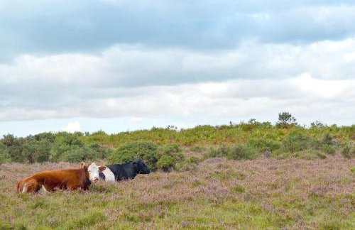 Brookside Cottage - Photo 23