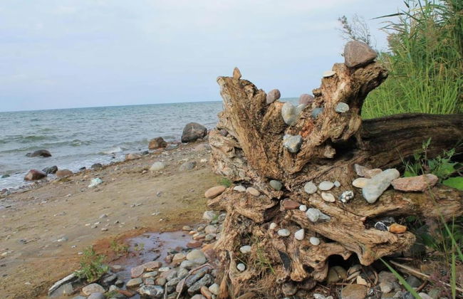 Stilvolle Wohnung mit Garten in Kluetz - Foto 26