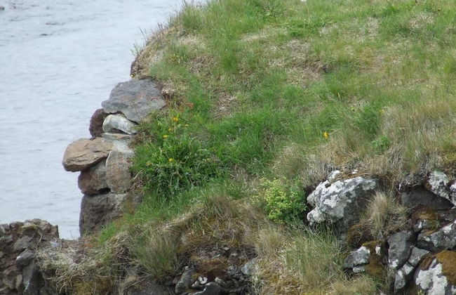 Fossatún Camping Pods & cottages – Sleeping bag accommodation - Foto 66