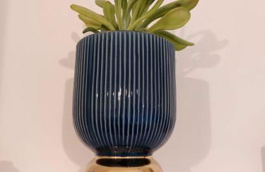 casa gemelli vaticano roma - Foto 24