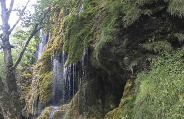 SEINZ Tiny House Natururlaub - Foto 23