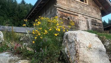 Mazot de la Pointe Percée - Foto 2