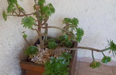 Le Clos des Arbousiers - Foto 16