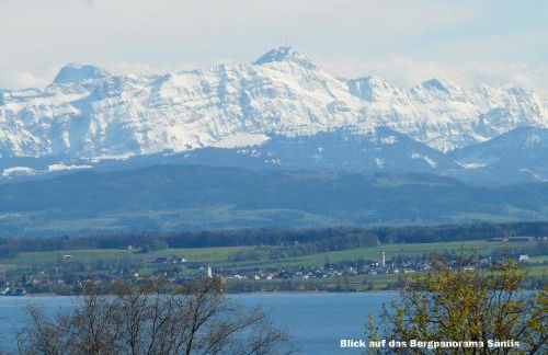 Lakeview Penthouse - Foto 35