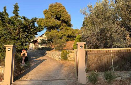 Fousa Home - Foto 19