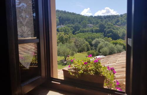 Agriturismo Santa Giusta - Foto 27