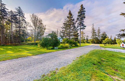 Lone Maple - Foto 18