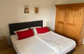 Alb Lodge - Foto 12