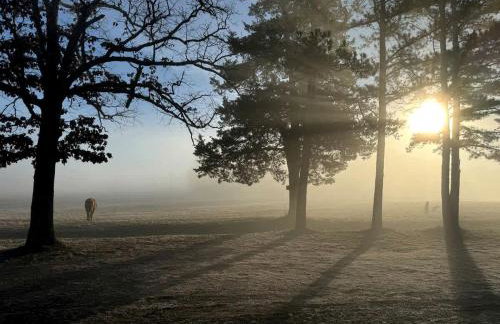 Secluded Riverfront Cabin with Bluff Views, Gated Privacy & Scenic Trail Access in Tahlequah, Oklahoma - Foto 64