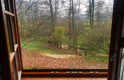 Godzisz - domek rekreacyjny - Foto 40