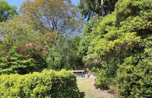 Ty'n y Cae - Foto 55