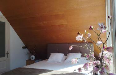 Samobor holiday villa - Samoborski ljetnikovac - Photo 48