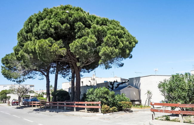 Grau Village - Foto 16