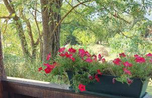 Cozy wooden house Robinia - Foto 28