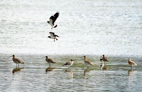 Appartementhaus Bavaria - Foto 42