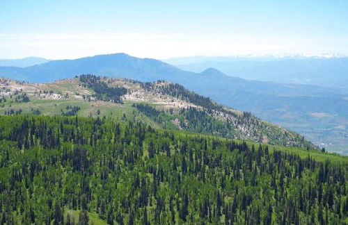 Sigi's Longhorn Lodge WL1409 Gym Ski Powder Mtn - Photo 50