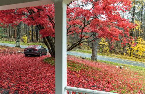 Restored 1881 Farm House - Foto 8