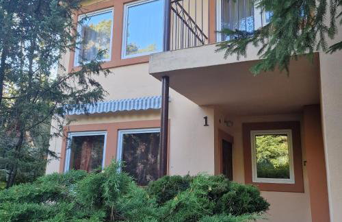 Ośrodek Wypoczynkowy Puszczyk Domek Akacjowy- Apartament -Willa - Foto 15