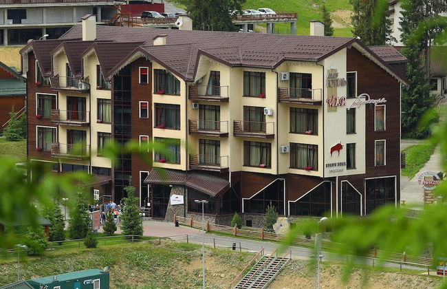 VIP-Aparts Bukovel - Photo 50