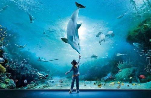 La perla bianca - Foto 64