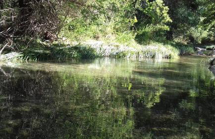 Andrea Sofi Guesthouse - Photo 24