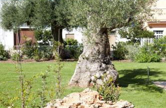 Donna Lucrezia - Foto 11