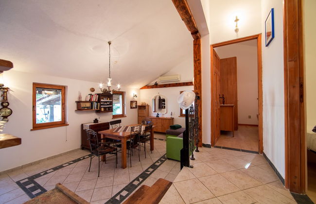 Victorious VIScovery Yellow - Foto 2