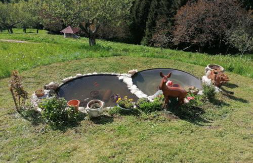 Baita Agaz - Foto 19