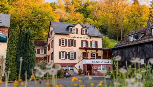 Weingut Muehlenschenke - Game-Room, Vineyard, Sauna and more - Foto 3