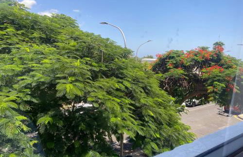 Santa Cruz de Tenerife Toscal - Foto 16