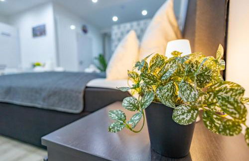 HANNIBAL - Design Studio-Apartment Tulpe 9, Parkplatz, Küche, HighSpeed-WLAN - Foto 44