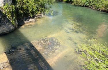 Alloggio Primavera - Foto 22