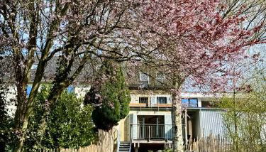 Garden Eden & Sauna - Foto 4