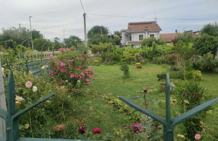 La Candelora Casa Vacanze - Foto 32