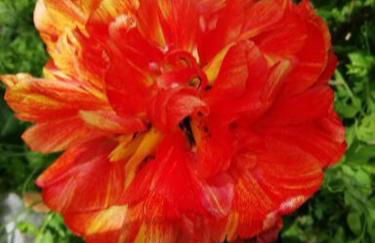 Villetta di Campagna - Foto 42