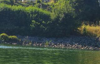 Haus KanaleGrande - Foto 16